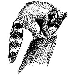 Coloring page: Raccoon (Animals) #20029 - Free Printable Coloring Pages