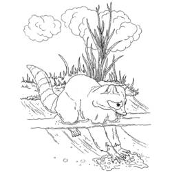 Coloring page: Raccoon (Animals) #20042 - Free Printable Coloring Pages