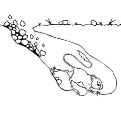 Coloring page: Rat (Animals) #15178 - Free Printable Coloring Pages