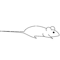 Coloring page: Rat (Animals) #15187 - Free Printable Coloring Pages