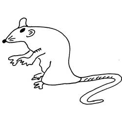 Coloring page: Rat (Animals) #15242 - Free Printable Coloring Pages