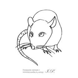 Coloring page: Rat (Animals) #15264 - Free Printable Coloring Pages