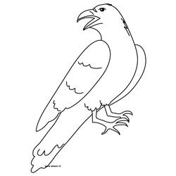 Coloring page: Raven (Animals) #4289 - Free Printable Coloring Pages