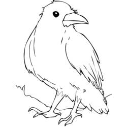 Coloring page: Raven (Animals) #4357 - Free Printable Coloring Pages