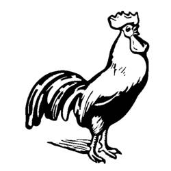 Coloring page: Rooster (Animals) #4143 - Free Printable Coloring Pages