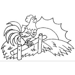 Coloring page: Rooster (Animals) #4156 - Free Printable Coloring Pages
