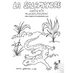 Coloring page: Salamander (Animals) #19893 - Free Printable Coloring Pages