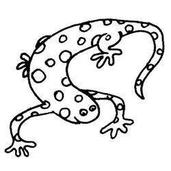 Coloring page: Salamander (Animals) #19895 - Free Printable Coloring Pages