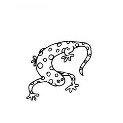 Coloring page: Salamander (Animals) #19905 - Free Printable Coloring Pages