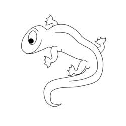 Coloring page: Salamander (Animals) #19906 - Free Printable Coloring Pages