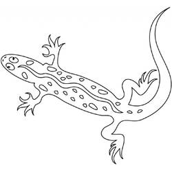Coloring page: Salamander (Animals) #19930 - Free Printable Coloring Pages