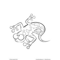 Coloring page: Salamander (Animals) #19944 - Free Printable Coloring Pages