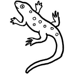 Coloring page: Salamander (Animals) #19975 - Free Printable Coloring Pages