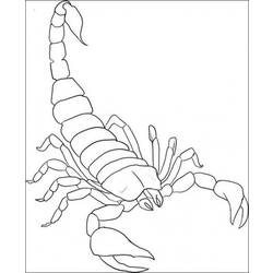 Coloring page: Scorpio (Animals) #14539 - Free Printable Coloring Pages