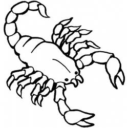 Coloring page: Scorpio (Animals) #14549 - Free Printable Coloring Pages