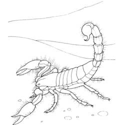 Coloring page: Scorpio (Animals) #14553 - Free Printable Coloring Pages