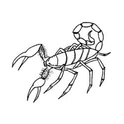 Coloring page: Scorpio (Animals) #14574 - Free Printable Coloring Pages
