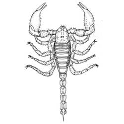 Coloring page: Scorpio (Animals) #14590 - Free Printable Coloring Pages