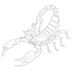 Coloring page: Scorpio (Animals) #14624 - Free Printable Coloring Pages