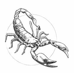 Coloring page: Scorpio (Animals) #14633 - Free Printable Coloring Pages