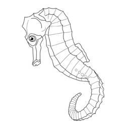 Coloring page: Seahorse (Animals) #18591 - Free Printable Coloring Pages