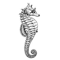 Coloring page: Seahorse (Animals) #18599 - Free Printable Coloring Pages