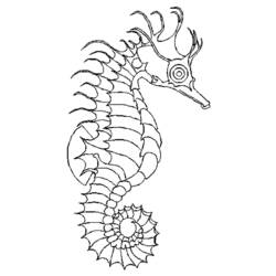 Coloring page: Seahorse (Animals) #18601 - Free Printable Coloring Pages