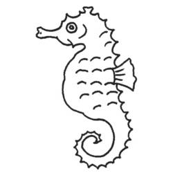 Coloring page: Seahorse (Animals) #18608 - Free Printable Coloring Pages