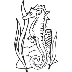 Coloring page: Seahorse (Animals) #18632 - Free Printable Coloring Pages