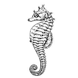 Coloring page: Seahorse (Animals) #18660 - Free Printable Coloring Pages