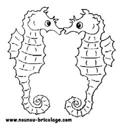 Coloring page: Seahorse (Animals) #18670 - Free Printable Coloring Pages