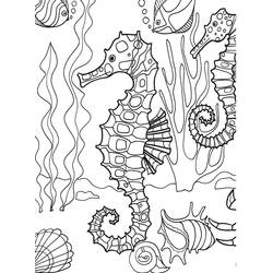 Coloring page: Seahorse (Animals) #18718 - Free Printable Coloring Pages
