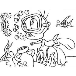 Coloring page: Seahorse (Animals) #18726 - Free Printable Coloring Pages