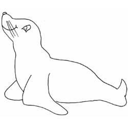 Coloring page: Seal (Animals) #16265 - Free Printable Coloring Pages
