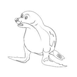 Coloring page: Seal (Animals) #16266 - Free Printable Coloring Pages