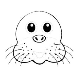 Coloring page: Seal (Animals) #16271 - Free Printable Coloring Pages