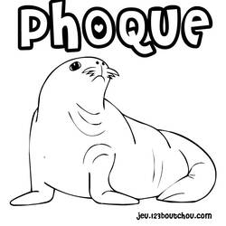 Coloring page: Seal (Animals) #16272 - Free Printable Coloring Pages