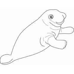 Coloring page: Seal (Animals) #16366 - Free Printable Coloring Pages