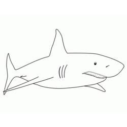 Coloring page: Shark (Animals) #14766 - Free Printable Coloring Pages