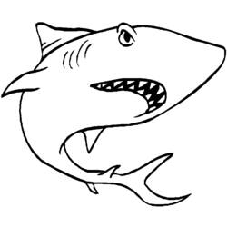 Coloring page: Shark (Animals) #14767 - Free Printable Coloring Pages