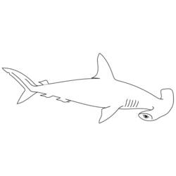 Coloring page: Shark (Animals) #14787 - Free Printable Coloring Pages