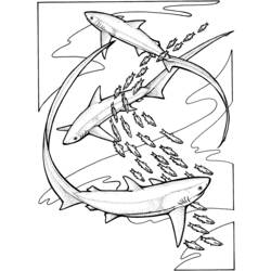 Coloring page: Shark (Animals) #14801 - Free Printable Coloring Pages