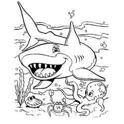 Coloring page: Shark (Animals) #14802 - Free Printable Coloring Pages