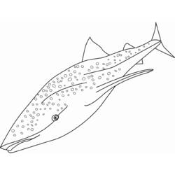 Coloring page: Shark (Animals) #14808 - Free Printable Coloring Pages