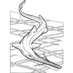 Coloring page: Shark (Animals) #14819 - Free Printable Coloring Pages