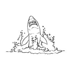 Coloring page: Shark (Animals) #14867 - Free Printable Coloring Pages