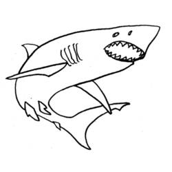 Coloring page: Shark (Animals) #14911 - Free Printable Coloring Pages
