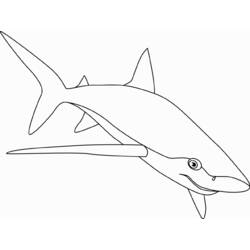 Coloring page: Shark (Animals) #14917 - Free Printable Coloring Pages