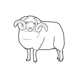 Coloring page: Sheep (Animals) #11401 - Free Printable Coloring Pages