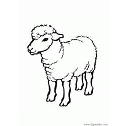 Coloring page: Sheep (Animals) #11409 - Free Printable Coloring Pages